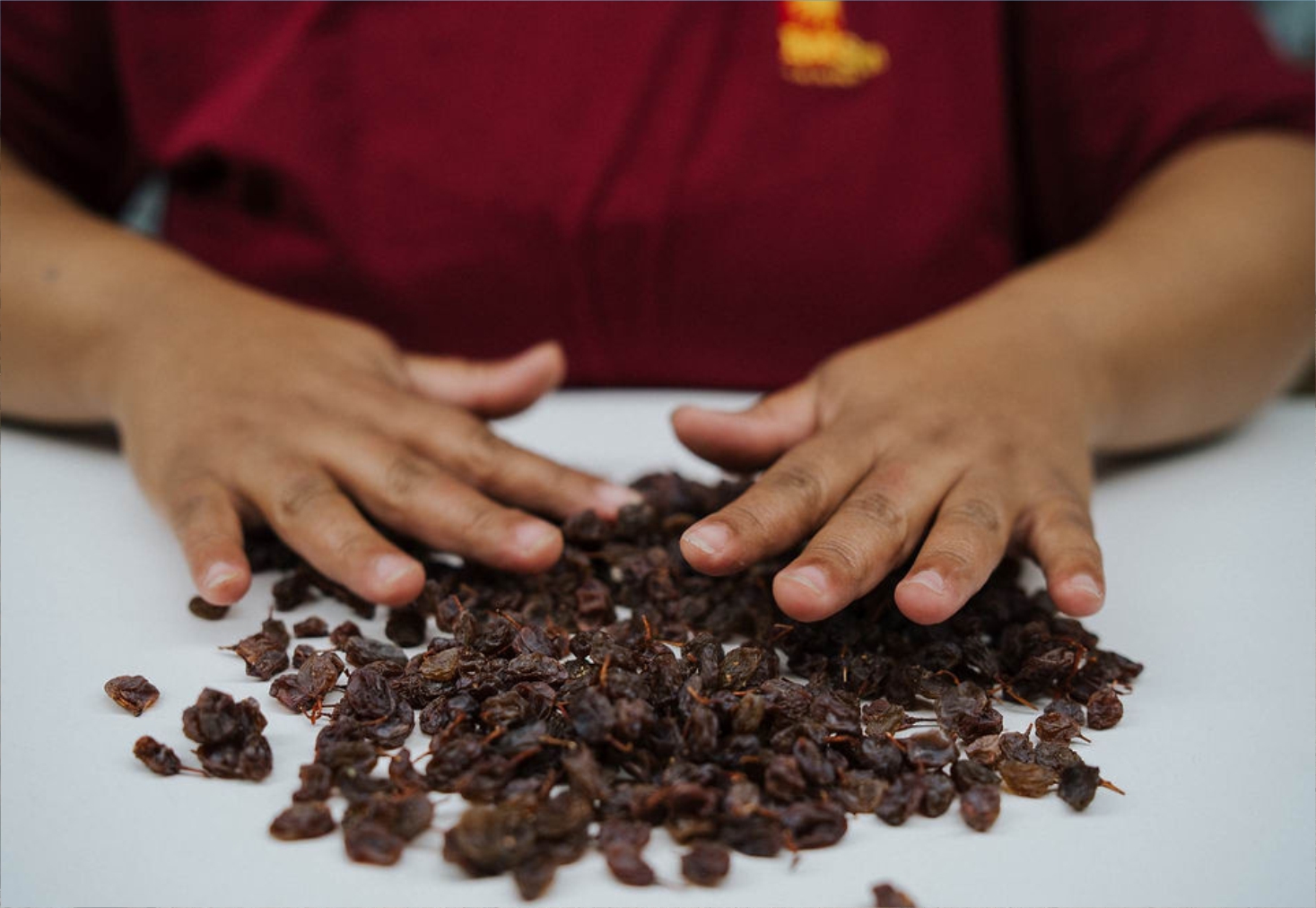Organic Thompsons raisins